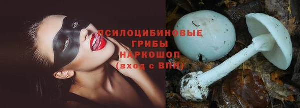 мескалин Бородино