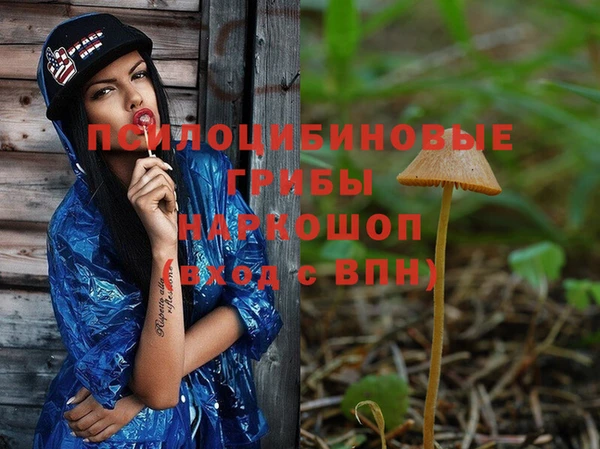 PSILOCYBIN Бугульма