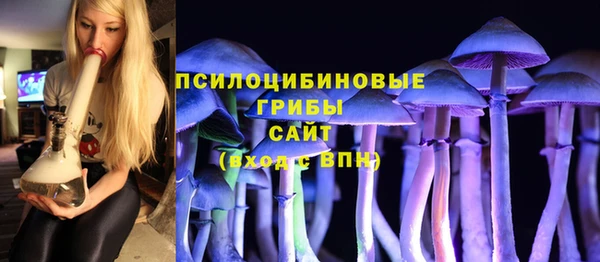 гашишное масло Богородицк