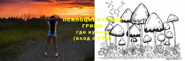 PSILOCYBIN Бугульма