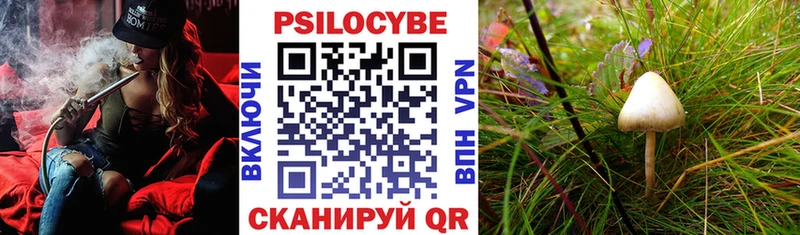 Галлюциногенные грибы Psilocybine cubensis  ОМГ ОМГ маркетплейс  Тихвин 
